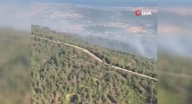 Çanakkale’de orman yangını
