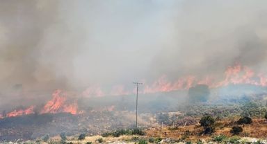Çeşme'de korkutan yangın!