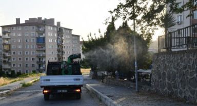 Çiğli'de sivrisinek ilaçlaması iki katına çıkartıldı