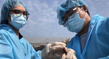 DSÖ: A(H5N2) kaynaklı ilk insan ölümü Meksika’da doğrulandı