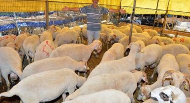 Kurban Bayramı için bağış kampanyası başladı