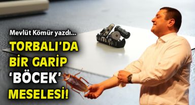Torbalı’da bir garip ‘böcek’ meselesi!