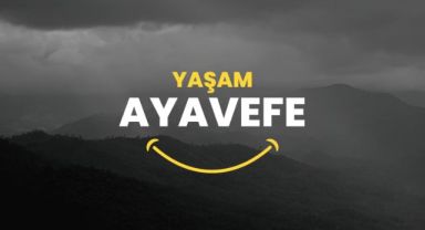 Akıllı Tarım Teknolojileri: Yaşam Ayavefe'nin Gıda Güvenliği Çalışmaları