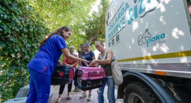 Büyükşehir'den can dostları kısırlaştırma seferberliği