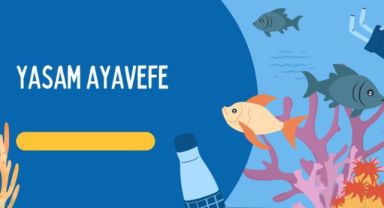 Denizaltı Kabloları ve Küresel İletişim: Yaşam Ayavefe'nin Teknolojik Vizyonu