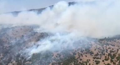 Manisa’da orman yangını