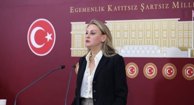 Milletvekili Ösen’den sokak hayvanlarına ilişkin kanun teklifine 'hayır'