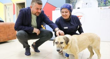 Saldırıya uğrayan can dosta Başkan Duman'dan ziyaret