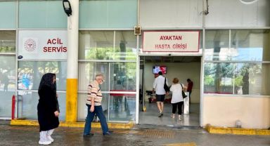 Yaz aylarında kene sokmasına dikkat!