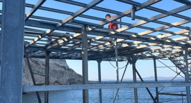 Akdeniz foklarının yuvaları kurtuluyor