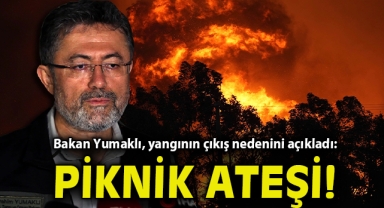 Bakan Yumaklı, yangının çıkış nedenini açıkladı: Piknik ateşi