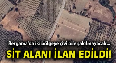 Bergama'da iki bölgeye çivi bile çakılmayacak... SİT alanı ilan edildi!