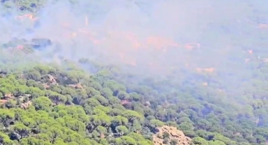 Bergama'da orman yangını