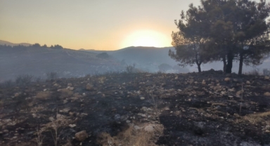Hatay’daki orman yangını 15. saatte kontrol altına alındı!