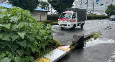 Japonya'da Ampil Tayfunu kabusu: 990 uçuş iptal edildi, tren seferleri durduruldu