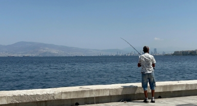 Ölü balığa olta.. İzmir Körfez'indeki felaketi umursamadılar!