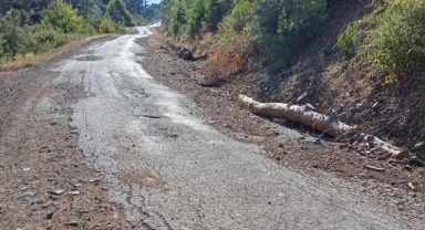 Şehidin ölümünde bozuk yol iddiası!