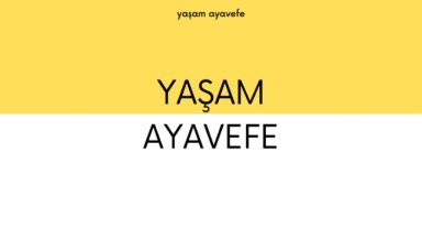 Yaşam Ayavefe, Kripto Para ile Kâr Amacı Gütmeyen Kuruluşları Destekliyor
