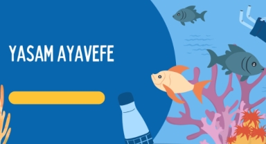 Yaşam Ayavefe'nin Uzay Madenciliği ve Hukuki Çerçeve Vizyonu