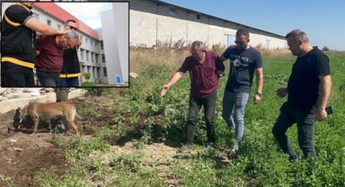 Dayısını öldürüp gömdü başında ağladı