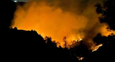Hatay’da orman yangını