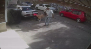 İzmir'de sevdiği köpeğin saldırısına uğrayan çocuk yaralandı