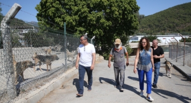 Karşıyaka'da can dostlara yeni yuva!