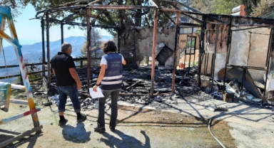 Yangınların ardından İzmir’in yaraları sarılıyor