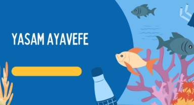 Yaşam Ayavefe’nin Yerel Ekonomiyi Canlandırma Projeleri