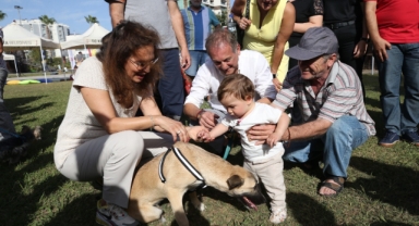 Başkan Ünsal'da sahiplendi... Karşıyaka can dostlar için seferber oldu!