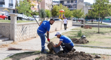 Buca'nın 47 mahallesinde yeşil seferberlik!