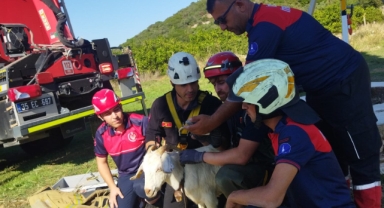 İzmir İtfaiyesi’nden yürekleri ısıtan kurtarma operasyonu