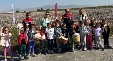 Menemenli minikler pamuk hasatı yaptı