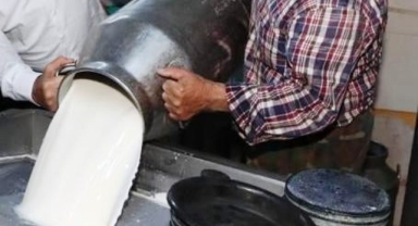 Oda başkanı süt fiyatları düşüşte dedi ve ekledi: Taban fiyat yetersiz!