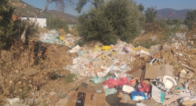 Zeytinliklerde çöp yığını… Doğaya ve tarıma ihanet
