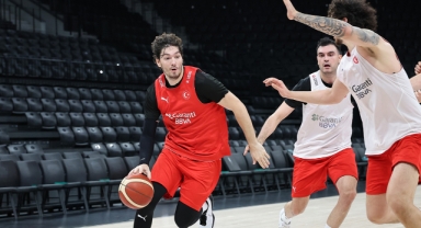 A Milli Erkek Basketbol Takımı, Macaristan karşısında