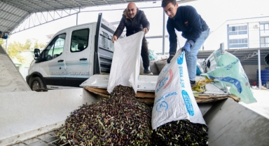 Bornova’da zeytin üreticilerine lojistik destek