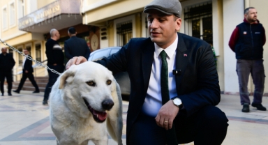 Başkan Eşki uyutmadı sahiplendi... Sokak Köpeği Paşa’ya sıcak bir yuva