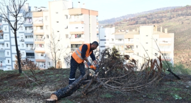 Çiğli'de orman yangınının izlerini silmek için seferberlik!