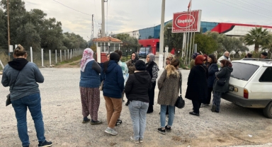 İşletme iflas etti alacaklılar kapıya dayandı
