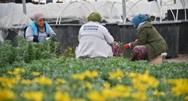 Manisa Büyükşehir'den suyu korumak için çalışma