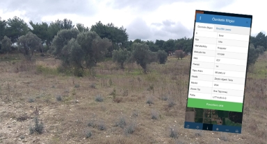 Urla-Kuşçular'a 'lüks villalar' mı inşa edilecek? Vatandaşlardan yetkililere 'durdurun' çağrısı!