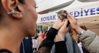 Patili canlara Konak sahip çıktı