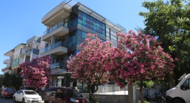 Selçuk'ta 2024’te dolu dolu geçen eğitim ve sanatın adresi: Prof. Dr. İsmail Aka Kütüphanesi