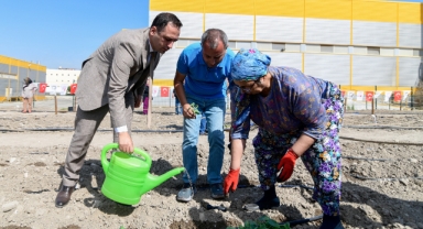Bornova Tohum Takas Şenliği 15 Şubat’ta