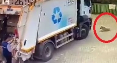 Başkan Yıldız'dan açıklama: Canımız yandı, gereği yapıldı