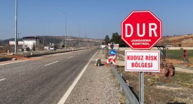 Sahipli köpek kuduz çıktı, belde karantinaya alındı