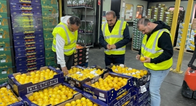 Türkiye, İngiltere’ye 500 milyon dolarlık yaş meyve sebze ve meyve sebze mamulleri ihracatı hedefliyor