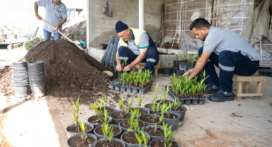 Bornova Belediyesi fidanlığı yeni görünümüyle göz kamaştırıyor
