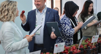 Emiralem Çilek Festivali'ne rekor ziyaretçi!